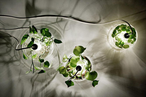 花瓶里的灯光 自然植物灯  