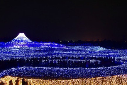 日本 LED 植物园