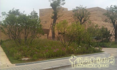 北京谷泉会议中心 上海园林 绿化工程 园林绿化