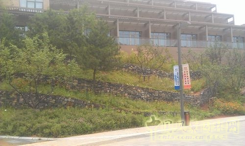 北京谷泉会议中心 上海园林 绿化工程 园林绿化