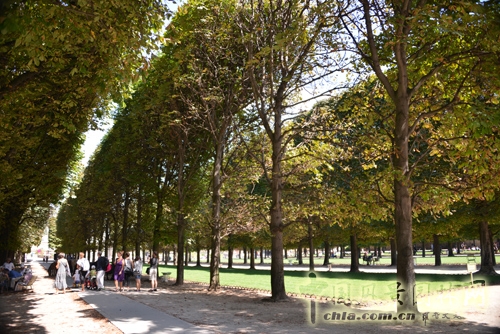 卢森堡公园 景观设计 法国考察