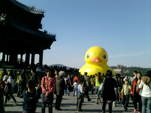 大黄鸭 大黄鸭告别北京 公园收益 园博园 颐和园