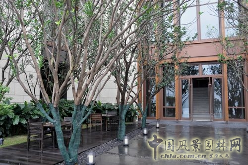 住宅景观奖 园林工程 重庆星耀天地会所示范区