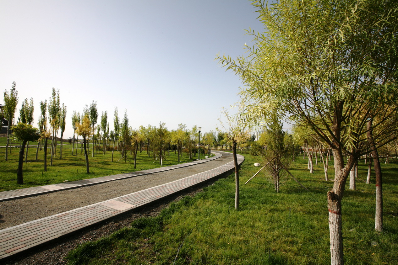 新疆巴州和硕滨河公园