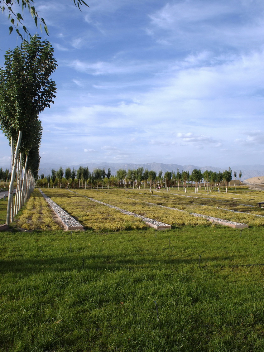 新疆巴州和硕滨河公园