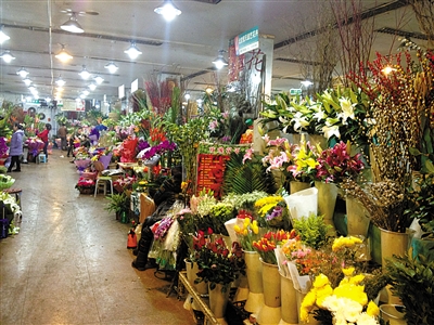 1月14日下午，亮马花卉市场一层，许多商户正在等待顾客光临