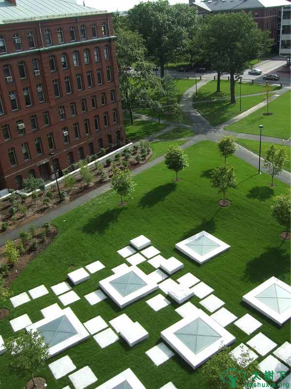 哈佛大学休憩绿地