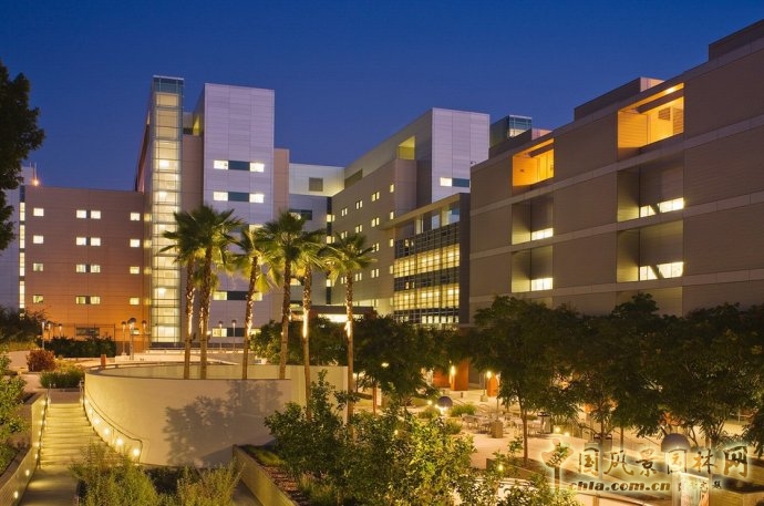 美国南加州大学LAC+USC医学中心