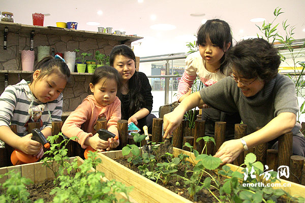 天津首家可食用药用植物体验中心开幕