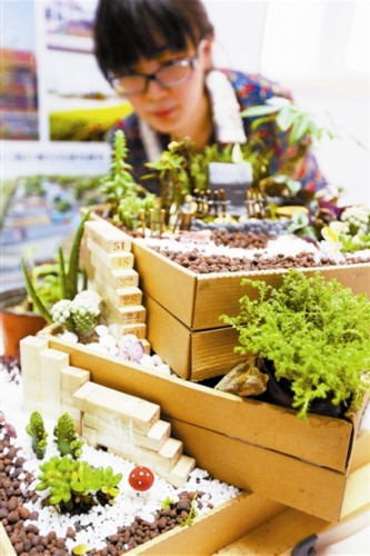 书桌上的低碳微花园