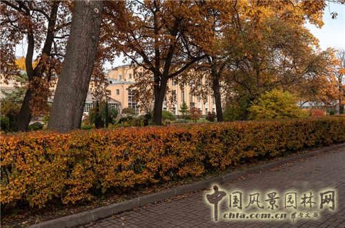 圣彼得堡植物园