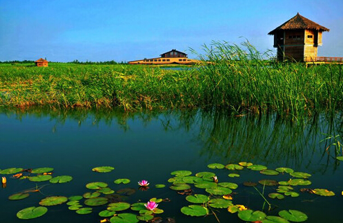 杭州湾国家湿地公园_国内动态|园林动态_风景园林网|风景园林网