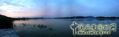 云龙湖 珠山景区 绿化工程 杭州园林