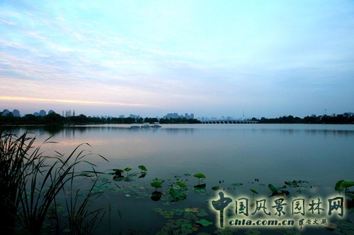 云龙湖 珠山景区 绿化工程 杭州园林