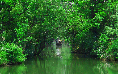 杭州;西溪国家湿地公园_公园_中国风景园林网|中国风景园林网