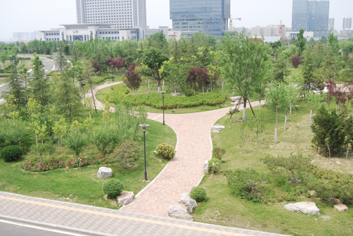 济南奥体中心 景观设计 施工图设计