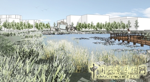 住宅景观奖 园冶杯 湿地公园 景观设计