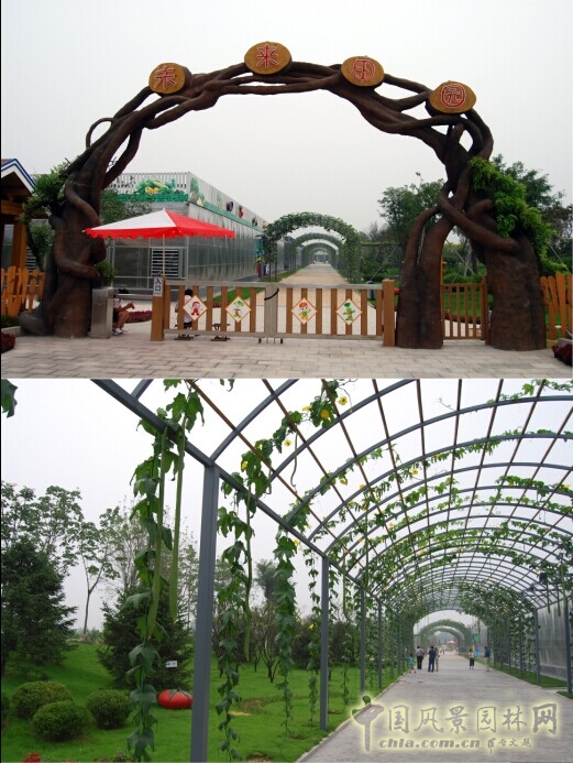 泰安花样年华 景观设计 农业生态园
