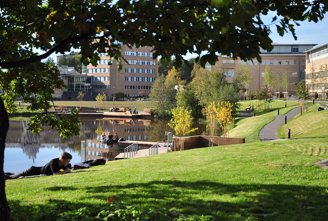 瑞典于莫奥大学校园景观设计_设计师作品|风景