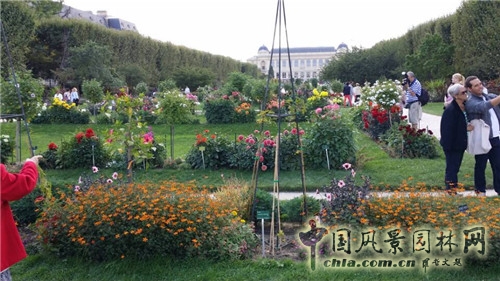 巴黎植物园