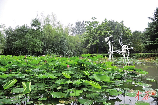 郑州市区两大公园年底前开放