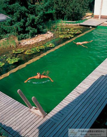 生態泳池