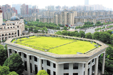 已进行屋顶绿化的芙蓉区政府行政楼。陈飞 摄