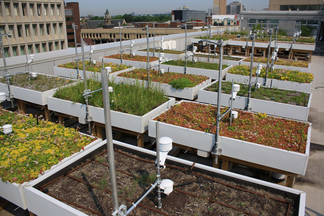 屋顶绿化创新测试(GRIT)实验室
