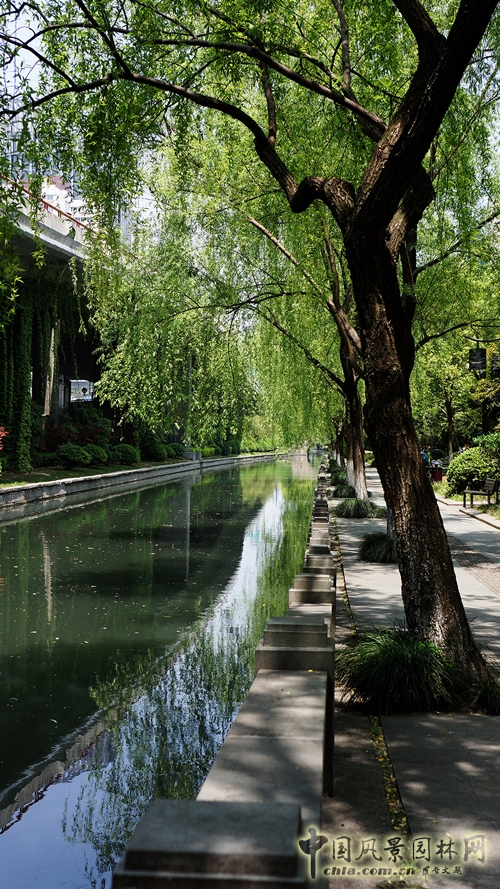 杭州园林 景观工程 河段治理