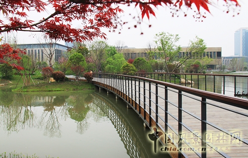 华为杭州生产基地 景观工程 屋顶绿化