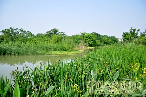 杭州西溪国家湿地公园