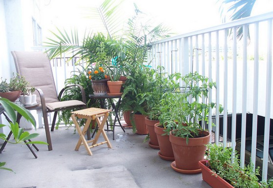 花园空间合理利用 14图花箱盆栽帮大忙