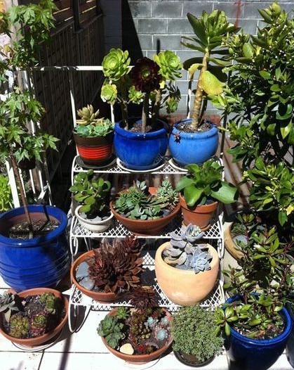 花园空间合理利用 14图花箱盆栽帮大忙