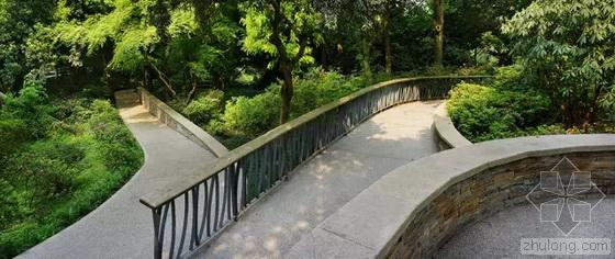 英国国家景观奖 王向荣 槭树杜鹃园 杭州植物园 