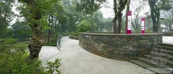 英国国家景观奖 王向荣 槭树杜鹃园 杭州植物园 