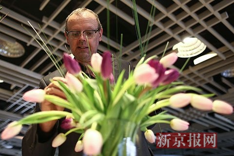 国泰”郁金香下周将在北京植物园展出