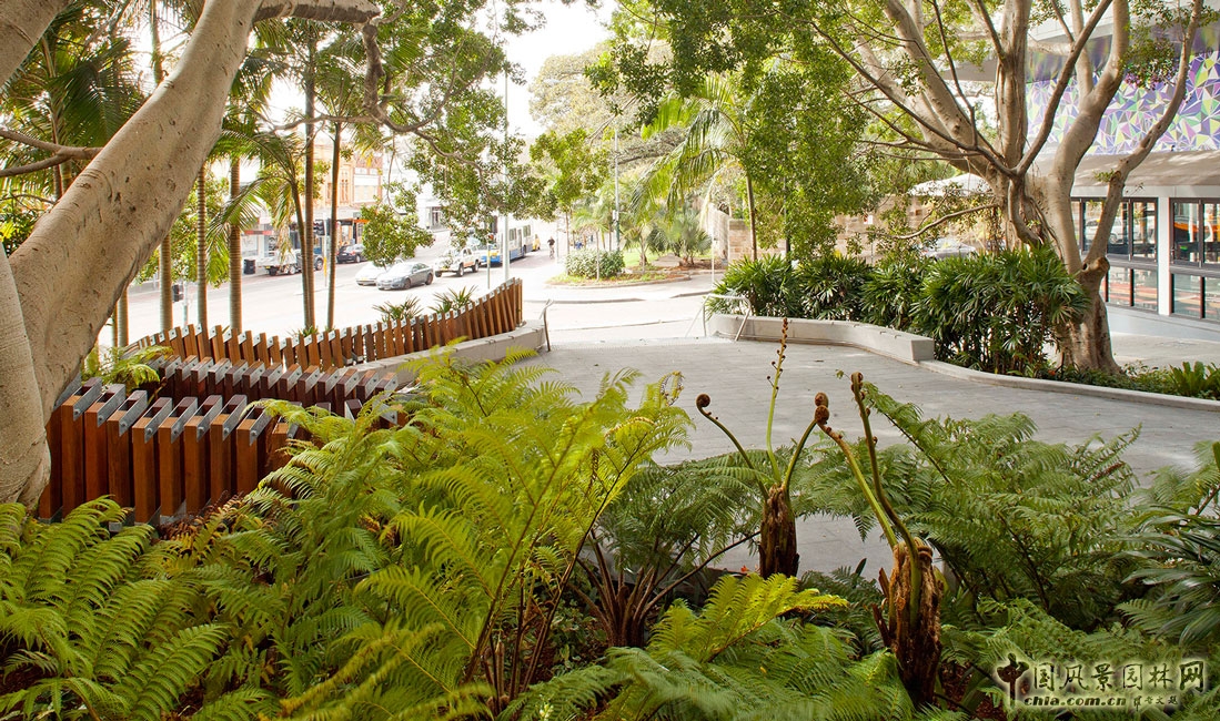 澳大利亚悉尼纳皮尔大街公共空间景观设计
