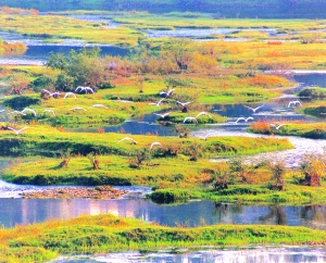 野趣天成——国家湿地公园饶河源