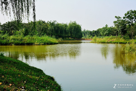 西安：浐灞生态国家湿地公园