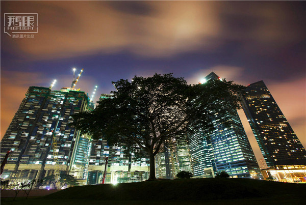 花园城市新加坡：闹市区分布大片原始雨林