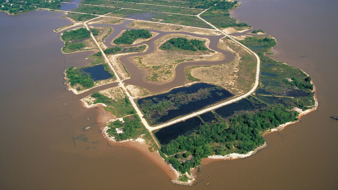 SWA经典案例：贝城自然中心湿地生态修复