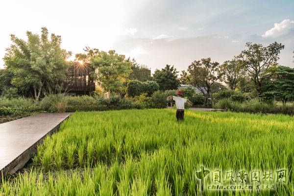 泰国Saraburi市Ming Mongkol绿色公园景观设计