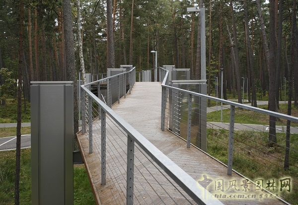 案例：拉脱维亚尤尔马拉市津塔里森林公园