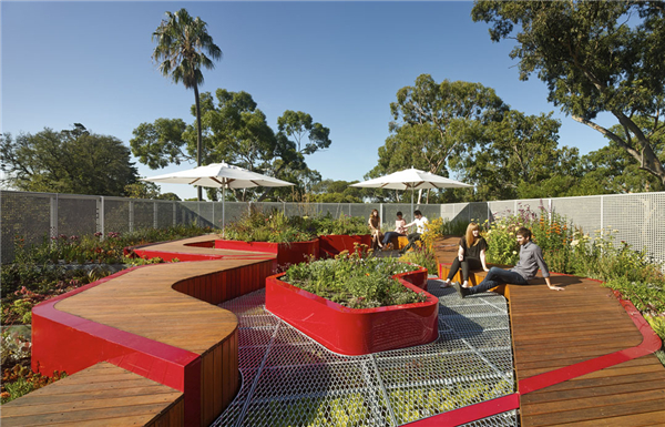HASSELL：澳大利亚伯恩利公共屋顶花园