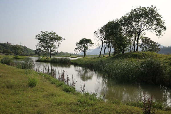 案例赏析：台湾桃园市大嵙崁人工湿地