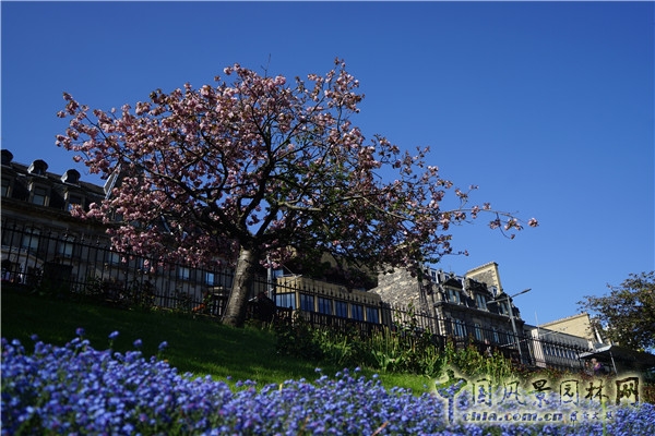 宜平教授英国花园之旅系列一:爱丁堡王子街公