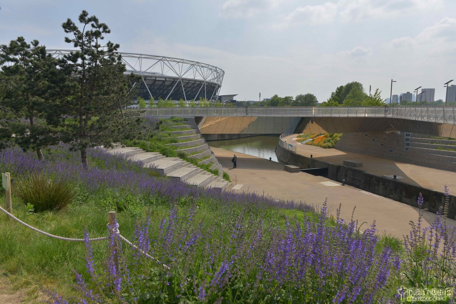 城市公园中的野花草甸——伦敦奥林匹克公园