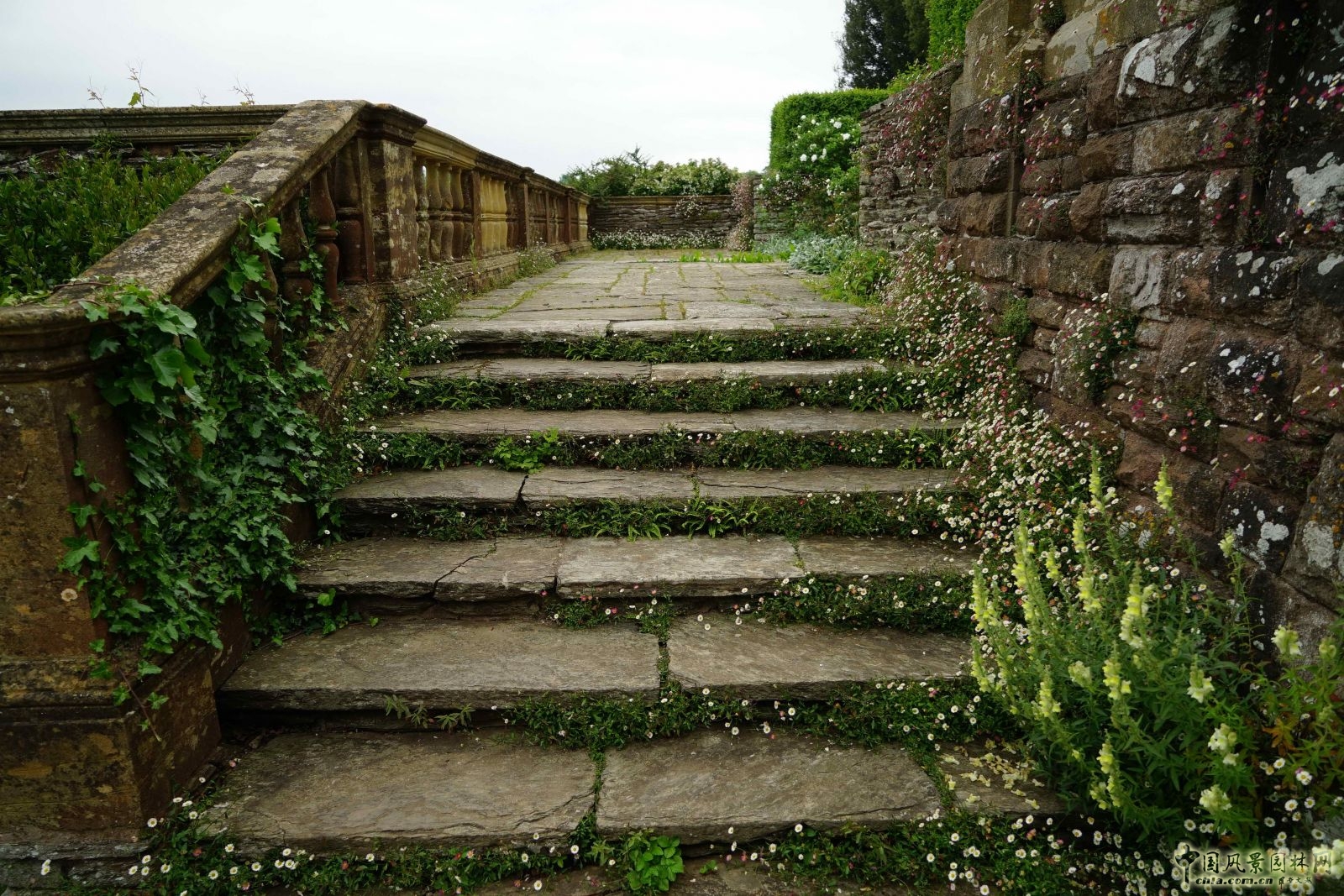 俯拾皆是“杰基尔Style”——英国赫斯特库姆花园