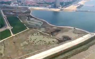上海首个滨海湿地公园“鹦鹉洲”湿地公园开工建设