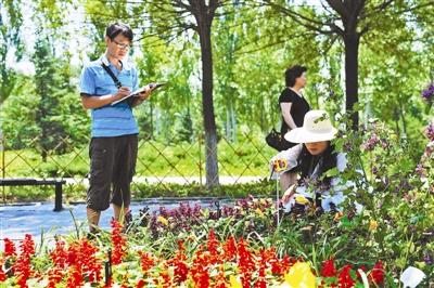 北京：800种世园花卉“试住”延庆